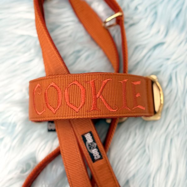 „Hundehalsband mit passender Leine in Terrakotta mit korallfarbener Stickerei des Namens ‘COOKIE’, handgefertigt von Coorox Dogwear – edler Ton-in-Ton-Look auf weichem Untergrund fotografiert.“